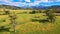 Detail of single tree in open field with mountains in background