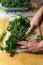 Detail slicing up curly green kale leaves with a knife