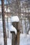 Detail of snow on a wood picket