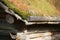 Detail of sod roof in traditional Sami architecture