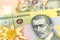 Detail of some romanian leu banknotes indicating growing economics