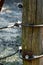 Detail of spider web on wooden column with steel rope and electric fence cable of cattle barrier.