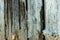 Detail of stacked driftwood pilings