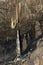 Detail of Stalactite and stalagmite in Aggtelek cave