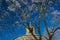 Detail of stone spire of medieval rotunda of saint Martin