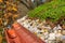 Detail of stones on extensive green living roof vegetation covered