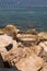 Detail of the stones lining Adriatic sea