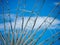 Detail And Structure of Ferris Wheel with Blue Sky