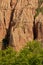 detail of the sunny pink rocks and green trees of Rapa Rosie , the grand canyon of Romania, under a clear blue sky