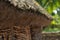 Detail of the thatched roof on a hat