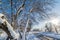 Detail of trees branch with white snow on street with snow and hill, concept of travel and holiday on snow
