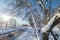 Detail of trees branch with white snow on street with snow and hill, concept of travel and holiday on snow