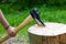 Detail of two flying pieces of wood on log with sawdust