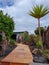 Detail of typical house of the Canary Islands coast and its vegetation. Lanzarote, Spain