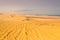 Detail of tyre tracks in sand desert