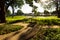 Detail of a very quiet square in the city of GoiÃ¢nia.