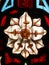 Detail of Victorian stained glass window showing white flower