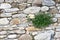 Detail view of an ancient stone wall in the village of Borgo Cervo in liguria Italy. Useful as a background