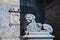 Detail view of Cathedral of Avila, Spain, lion stone