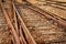 Detail view of a railroad crossing. Rusty train tracks.