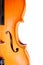 Detail of a violin