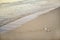 Detail on wet sand on the beach, blurred sea in background - shallow depth of field photo - only small white seashell in