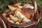 Detail of wicker basket with edible mushrooms
