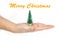 Detail of a woman`s hand holding a little Christmas tree with text in English `Merry Christmas` in white isolated background