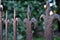 Detail of a wrought iron fence