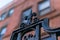 Detail on a wrought iron gate in New York City`s Harlem neighborhood against a bokeh background, Manhattan, NYC, USA