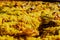Detail of a yellow paella, Mediterranean rice from the gastronomy of Spain