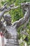 Detail of the Zambian Freedom statue in front of the government offices in downtown Lusaka, Zambia