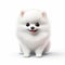 Detailed 3d Illustration Of Cute White Pomeranian Dog