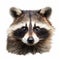 Detailed 8k Flat Drawing Of Raccoon Close-up On White Background