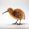 Detailed 8k Photo Of Kiwi Bird On White Background