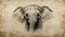 Detailed African Elephant Head Drawing In Gabriel Pacheco Style