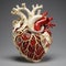 Detailed Anatomical Heart Model: A Journey Through Cardiac Complexity