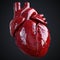 Detailed anatomical model of the human heart