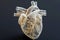 Detailed Anatomical Model of Human Heart on Dark Background for Medical Research and Education