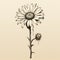 Detailed Anatomy Of A Rustic Daisy: A Sepia-toned Ink And Color Illustration