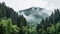 Detailed Atmospheric Portrait Of A Forested Mountain In Rainy Weather