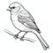 Detailed Bird Coloring Pages: Finch Outline For Children\\\'s Coloring Book