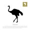 Detailed black ostrich silhouette on a white background. African animals