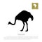 Detailed black ostrich silhouette on a white background. African animals