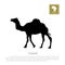 Detailed black silhouette of camel on white background. African animals