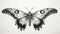 Detailed Black And White Drawing Of Mothra: Urban Horror