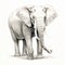 Detailed Black And White Pencil Drawing Of Elephant With Graceful Curves