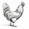 Detailed Black And White Rooster Drawing - Realistic Illustration