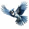 Detailed Blue Jay Flying Image With Comic Book Style