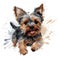 Detailed Cartoon Yorkie Dog in Watercolor Style